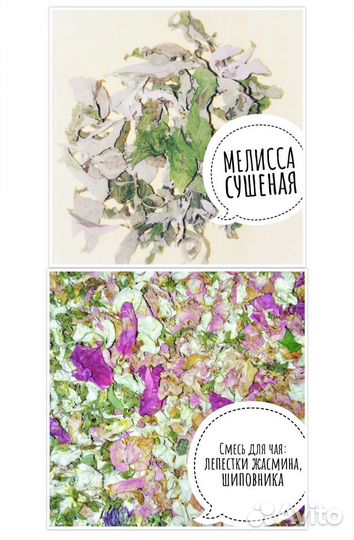 Травы/Чай/саженцы