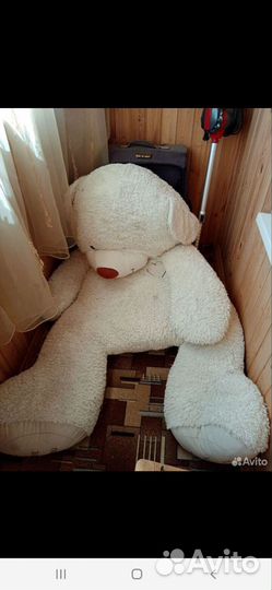 Плюшевый медведь