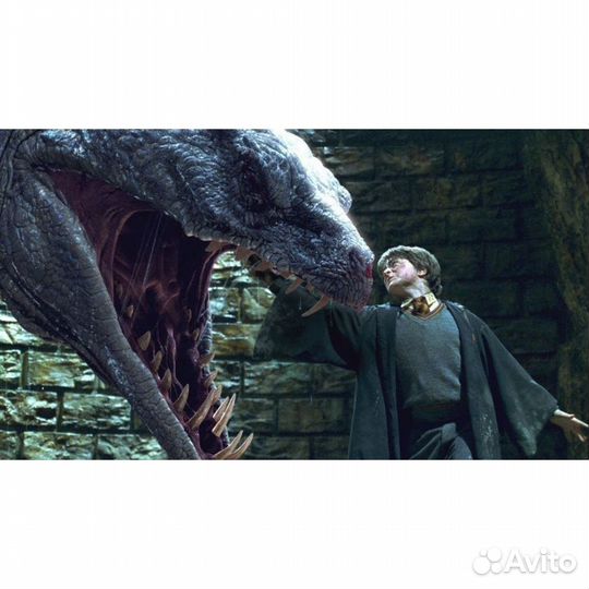 Гарри Поттер и Тайная комната (DVD)