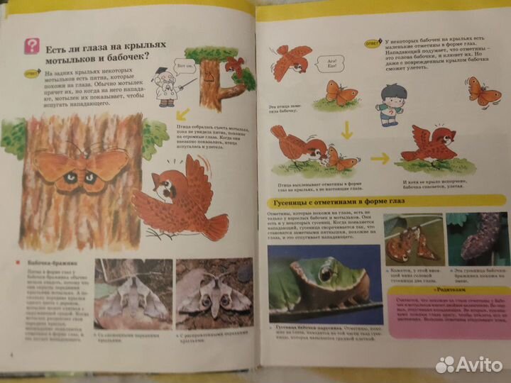 Книги о животных детские