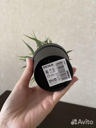 Искусственные цветы икеа