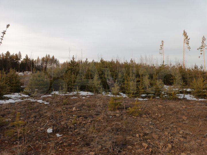 Участок 12 сот. (ИЖС)