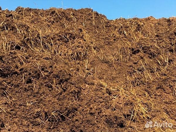 Навоз конский бесплатно самовывоз