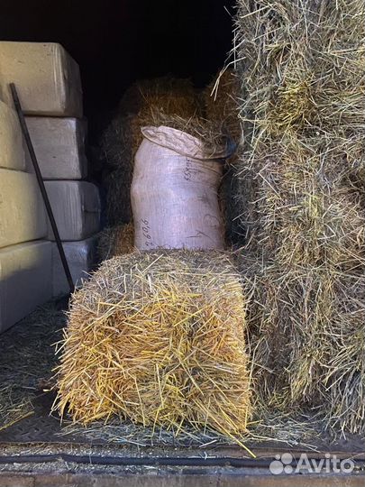 Корма и зерно