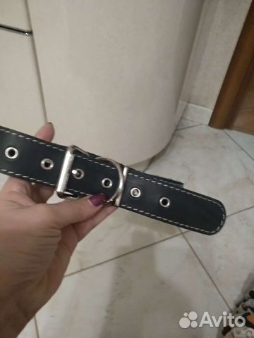 Ошейник новый, шлейка новая