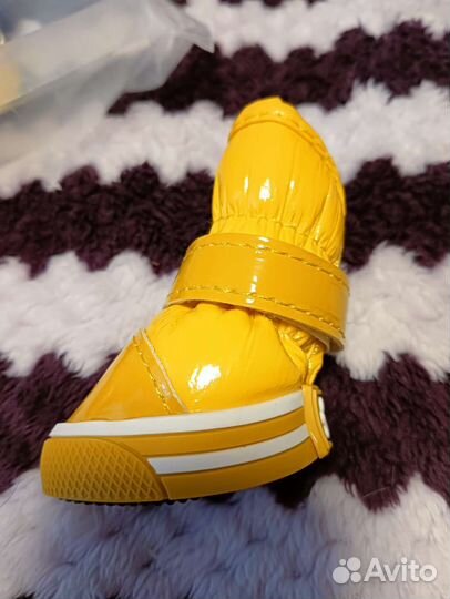 Ботинки для собак