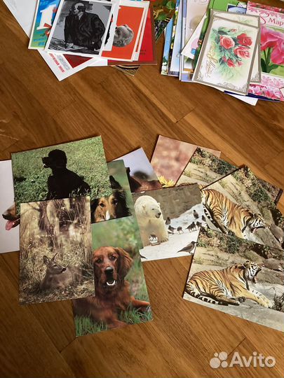 Открытки новые разные Конверты