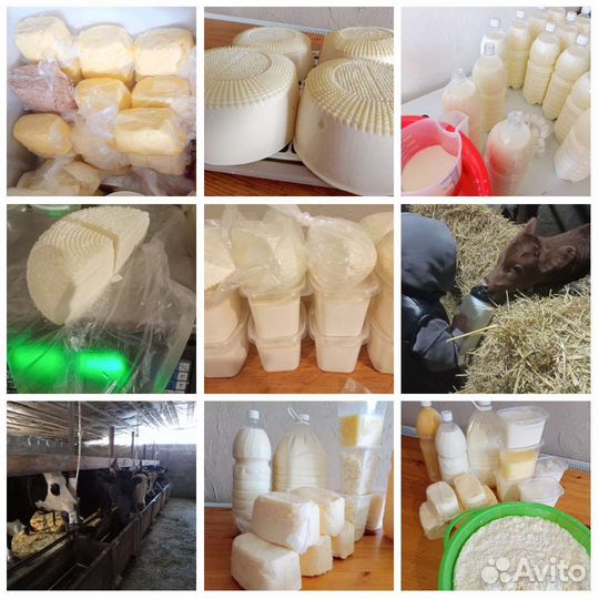 Молоко, творог,сметана,масло,сыр