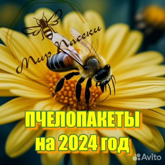 Пчелопакеты