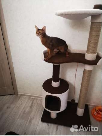 Когтеточки домики разборные игровые комплексы