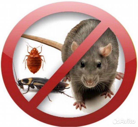 Федоровский. Уничтожение Клопов Тараканов Муравьев