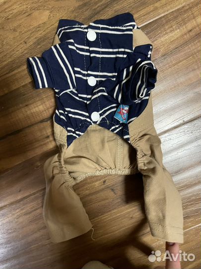 Одежда для собак мелких пород