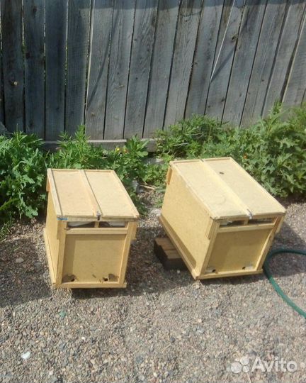 Пакеты для пчел