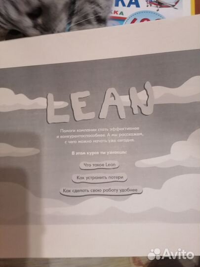 Распечатки презентаций