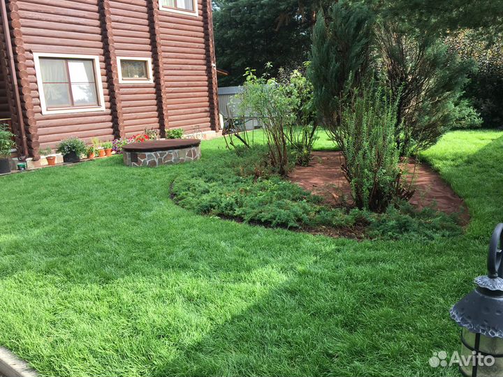 Рулонный газон от производителя опт цена