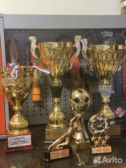 Спортивные кубки бронь