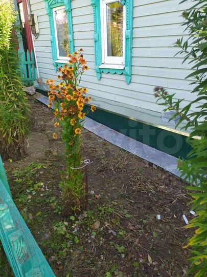 Дом 66 м² на участке 6 сот.