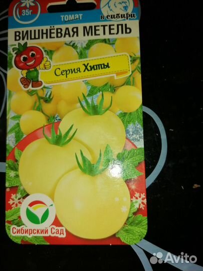 Рассада помидор, перцев, баклажан