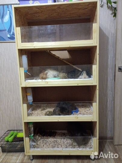 Стеллаж для морских свинок