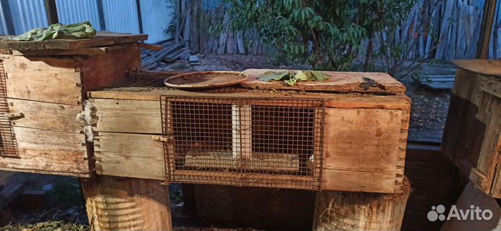 Клетка для кролика