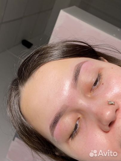 Обучение на бровиста