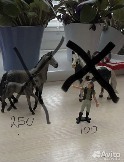 Лошади collecta