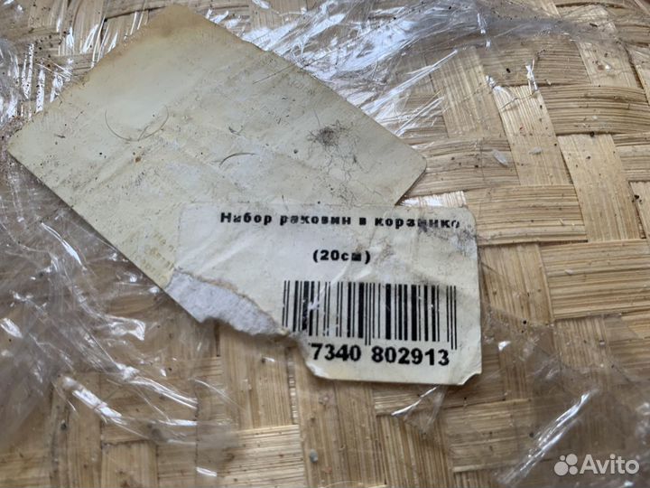 Набор морских ракушек для аквариума