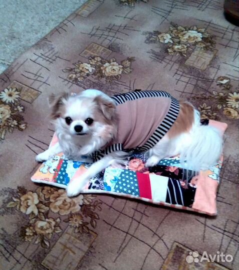 Лежанка для маленьких собак