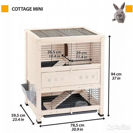 Кролик декоративный Вислоухий Баран