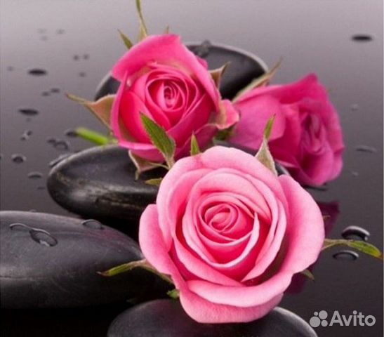 Розы набор алмазной мозаики 30х30