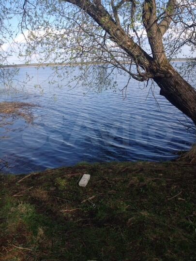 Участок 75 сот. (ИЖС)