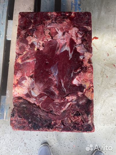 Мясная обрезь для собак