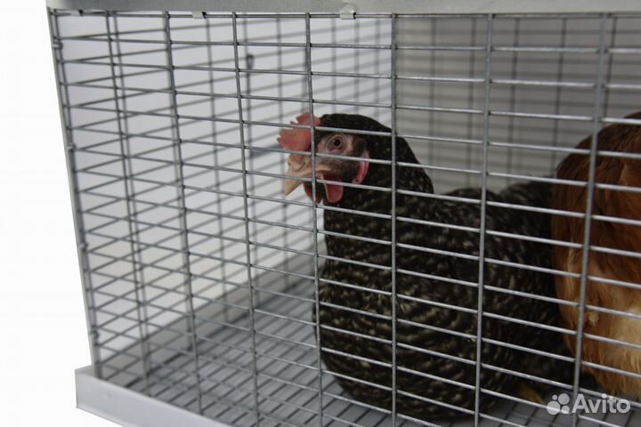 Клетка-переноска для птицы