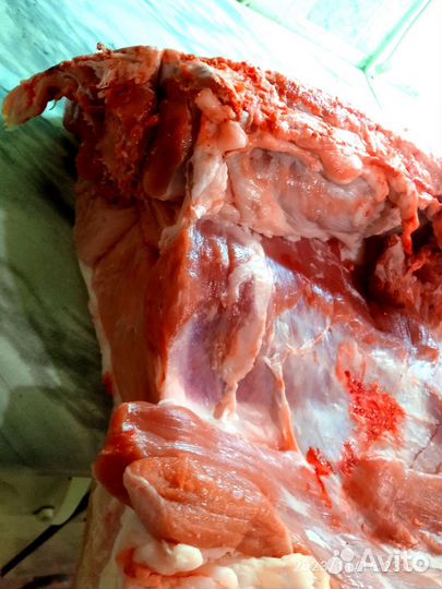 Мясо свинины домашнее
