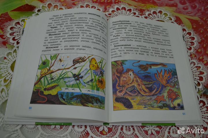 Учебник 2 части 