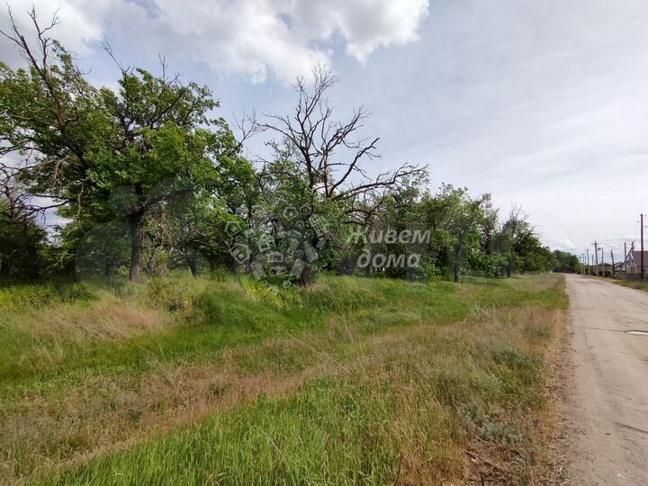 Участок 37,7 сот. (ИЖС)