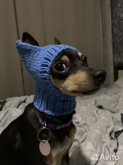 Шапка для собак маленьких пород