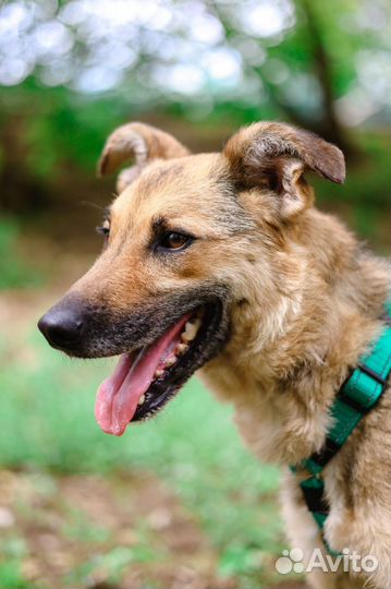 Выкинули как вещь