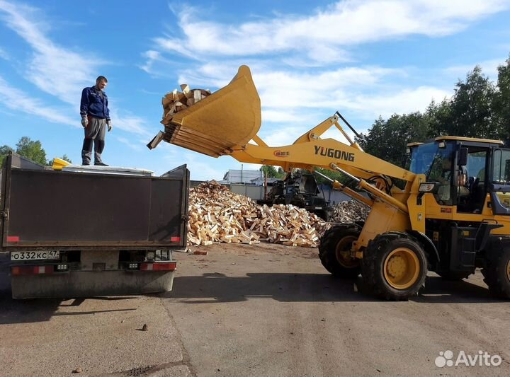 Дрова березовые колотые