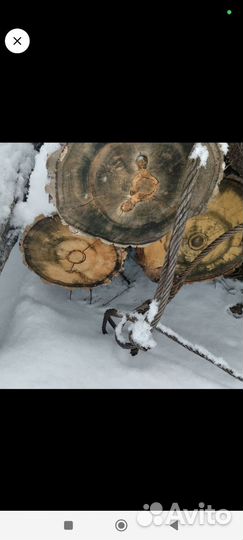 Лес кругляк дуб