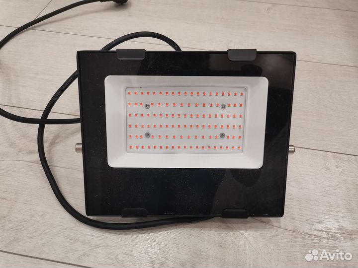 Фитолампа для растений