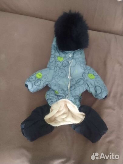 Комбинезон для маленькой собаки