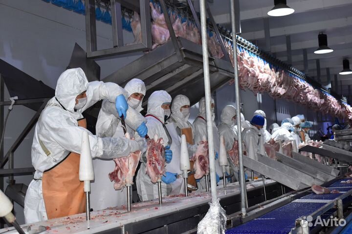 Обвалка/фасовка индейки Вахта до 5000 смена