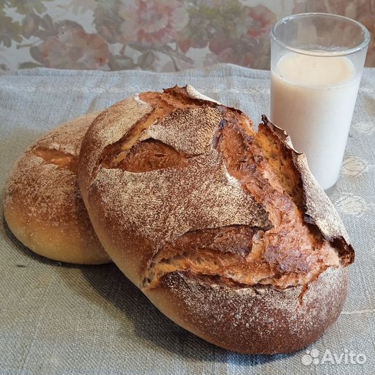 Закваска для хлеба и кефирный грибок