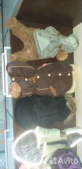 Одежда для собаки мелкой породы