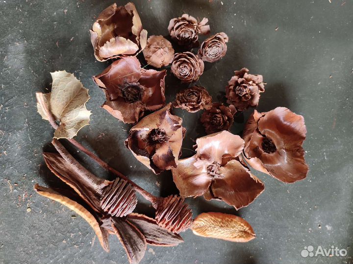 Сухоцветы экзоты