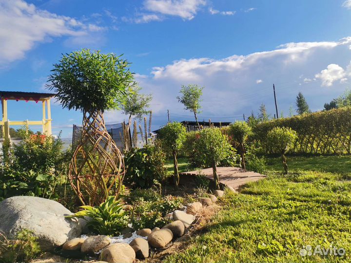 Витое дерево из ивы