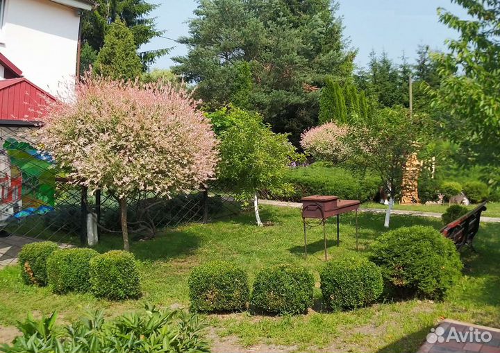 Беседка с мангалом аренда