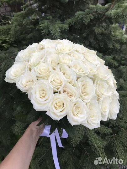 Большой букет белых роз 51 шт
