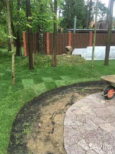 Укладка рулонного газона